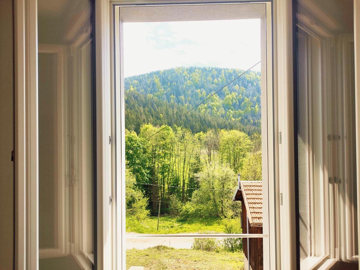⁂⁂ Le Chamois Appartement Cledicihome / Magnifique Vue Sur Les Montagnes / 4 Kms De Gerardmer ! ⁂⁂ Rochesson 外观 照片