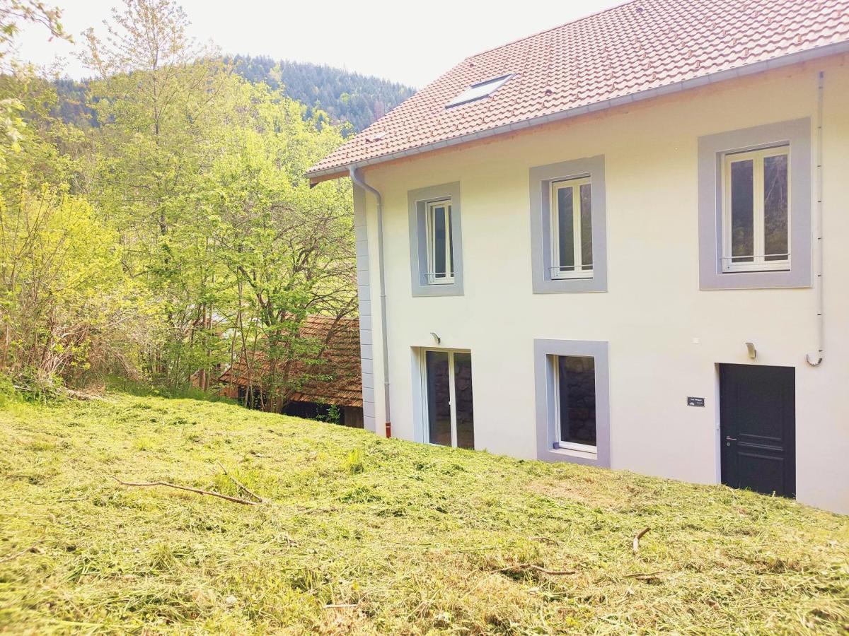 ⁂⁂ Le Chamois Appartement Cledicihome / Magnifique Vue Sur Les Montagnes / 4 Kms De Gerardmer ! ⁂⁂ Rochesson 外观 照片